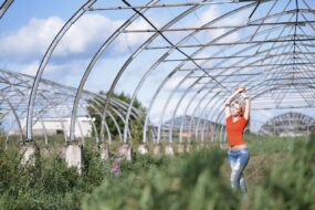 Optimisez la gestion de l’eau dans votre jardin